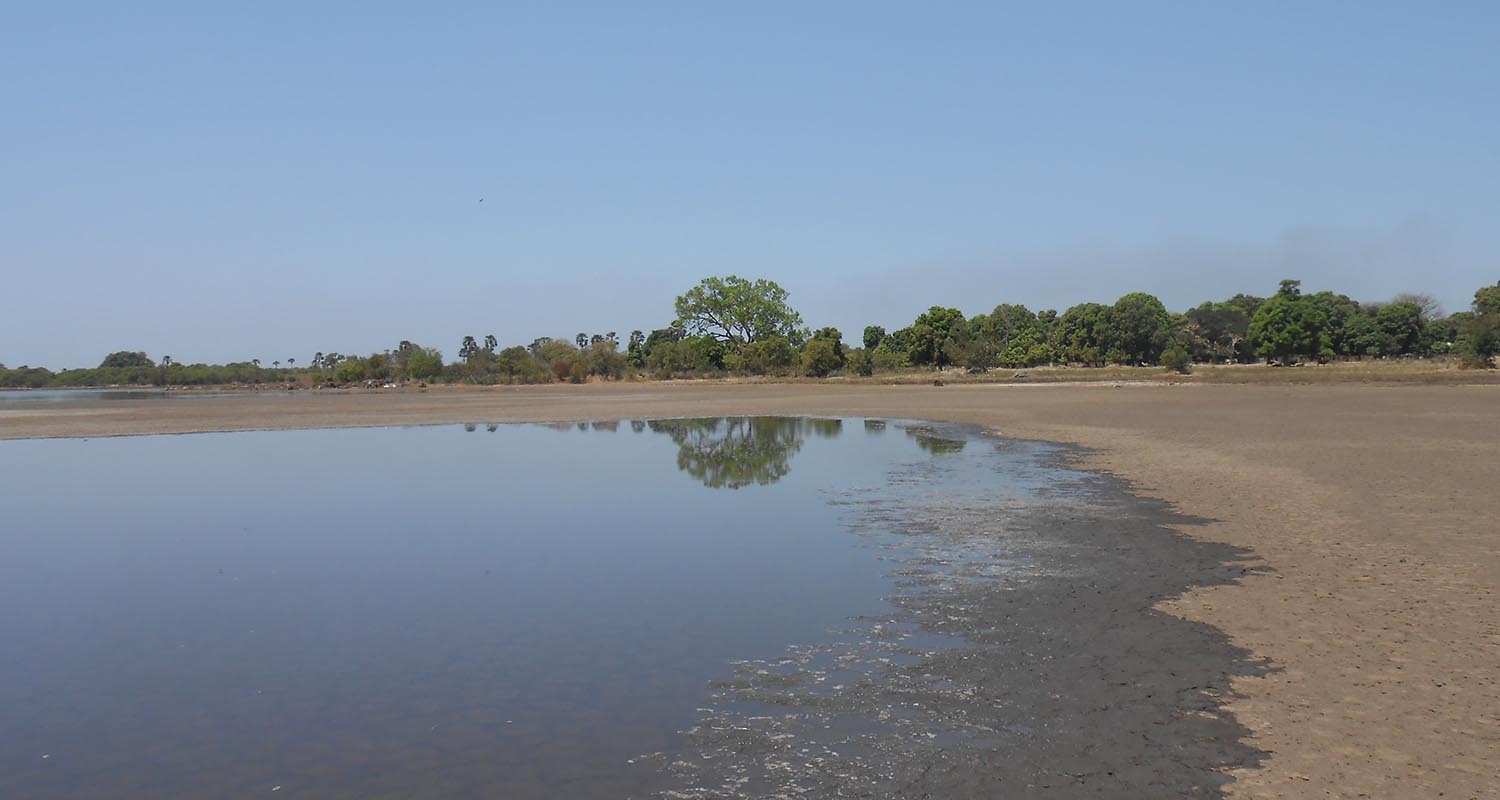 Ponte Diga Balouo Salo Senegal Africa
