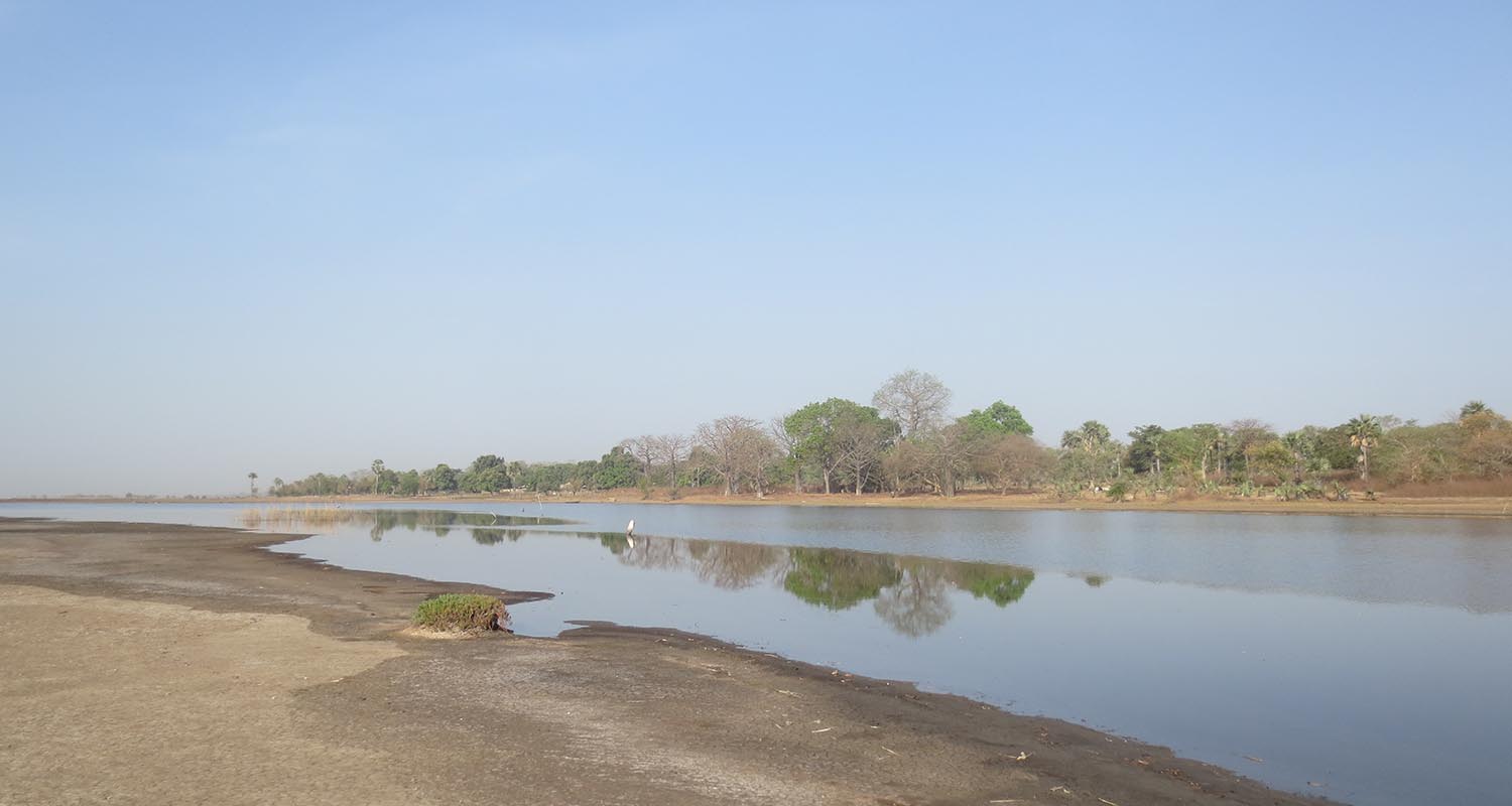 Ponte Diga Balouo Salo Senegal Africa
