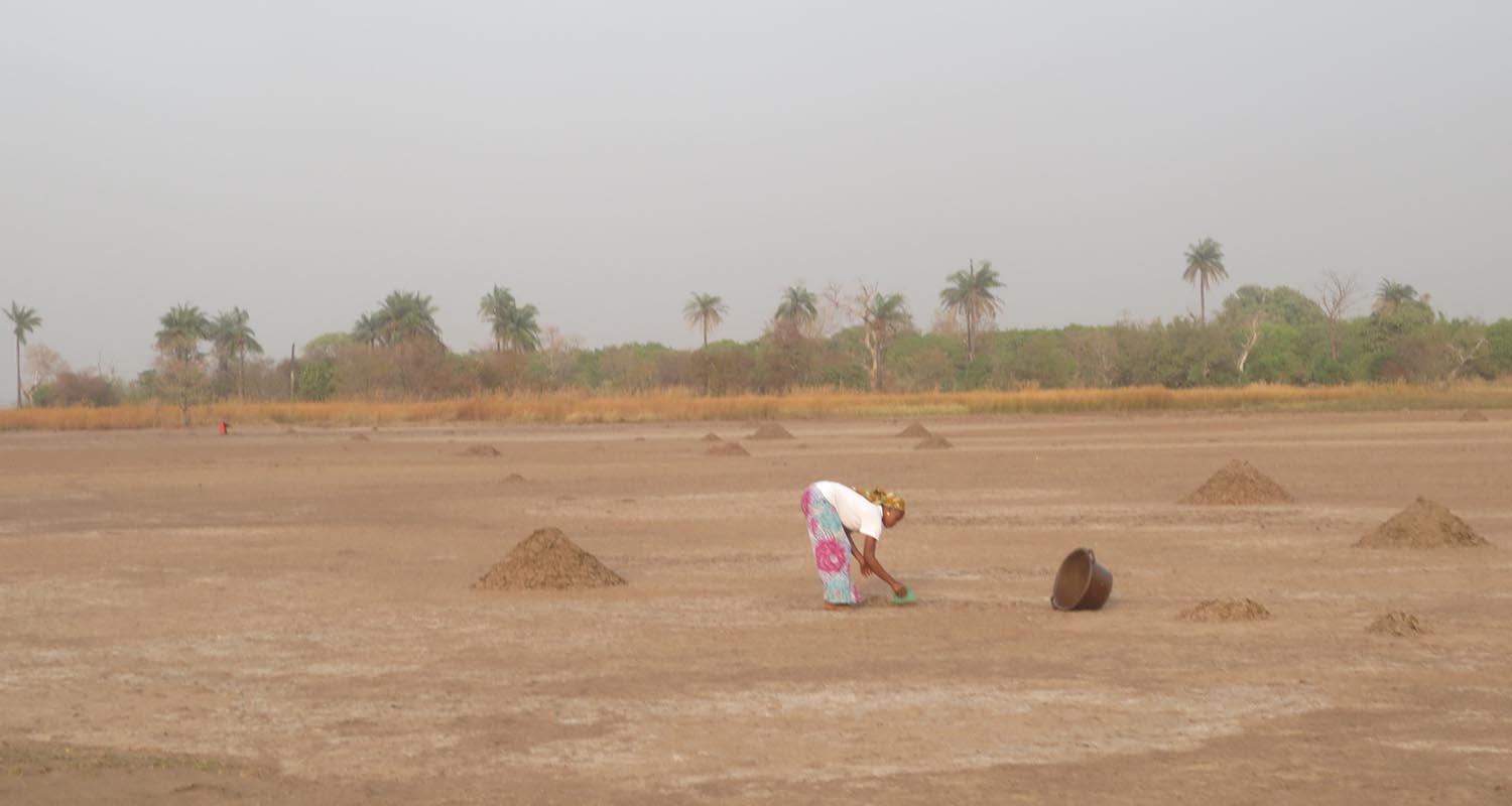Ponte Diga Balouo Salo Senegal Africa